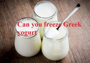can_you_freeze_greek_yogurt